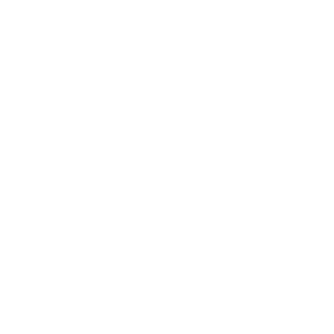 Logo Foton