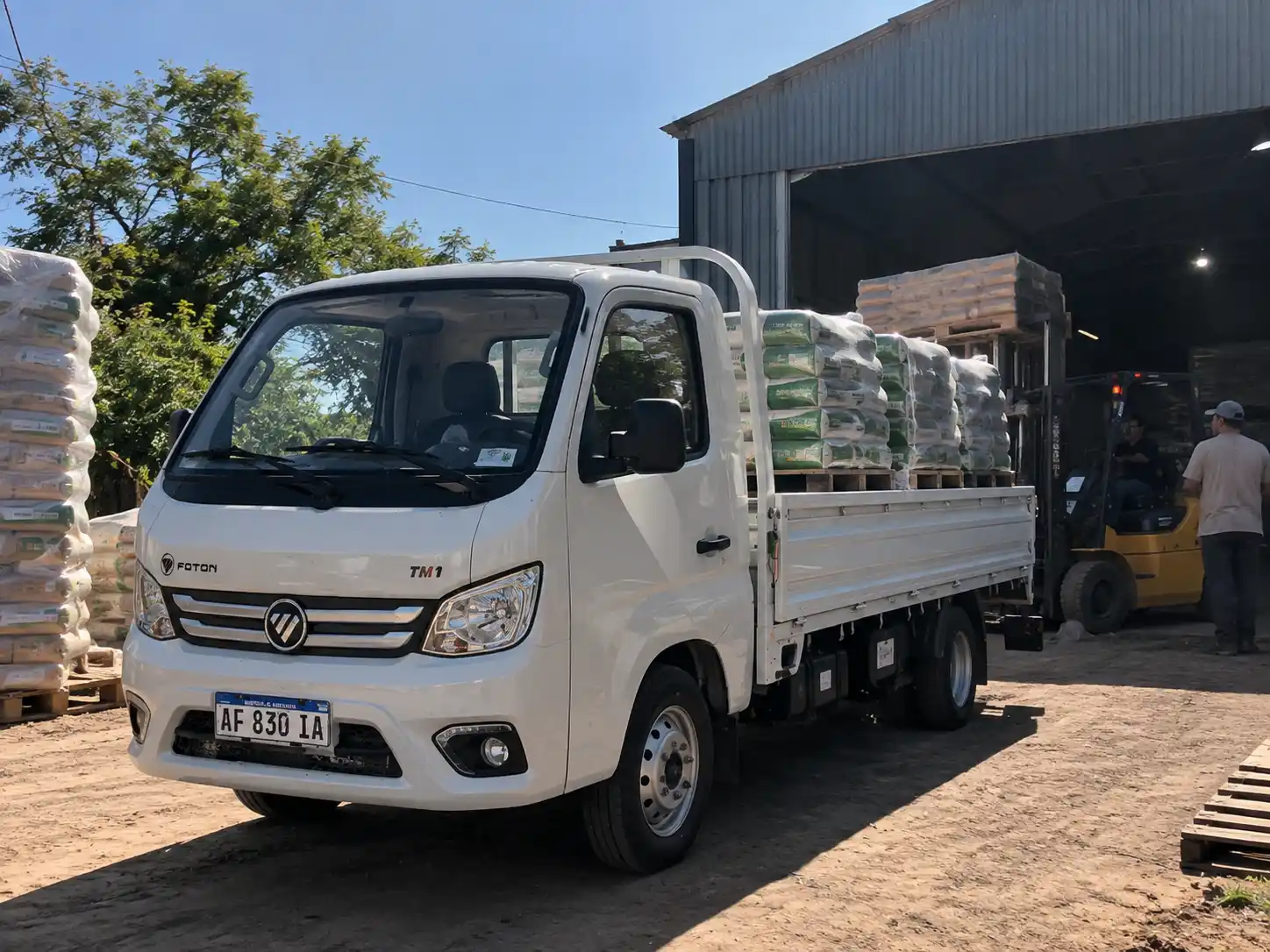 Foton TM1 usado en distribución pesada