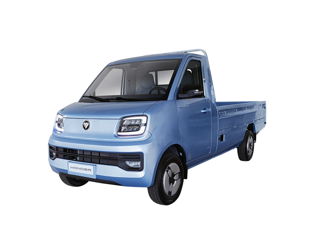 Foton Wonder cabina simple